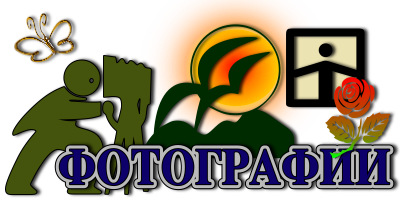Фотографии