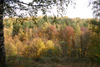 IMG_3805