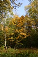 IMG_3808