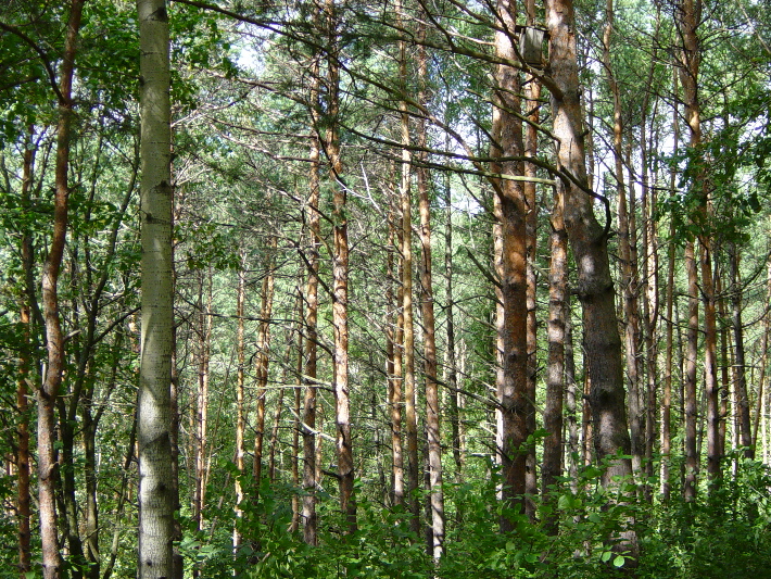 Roll 23 - 15