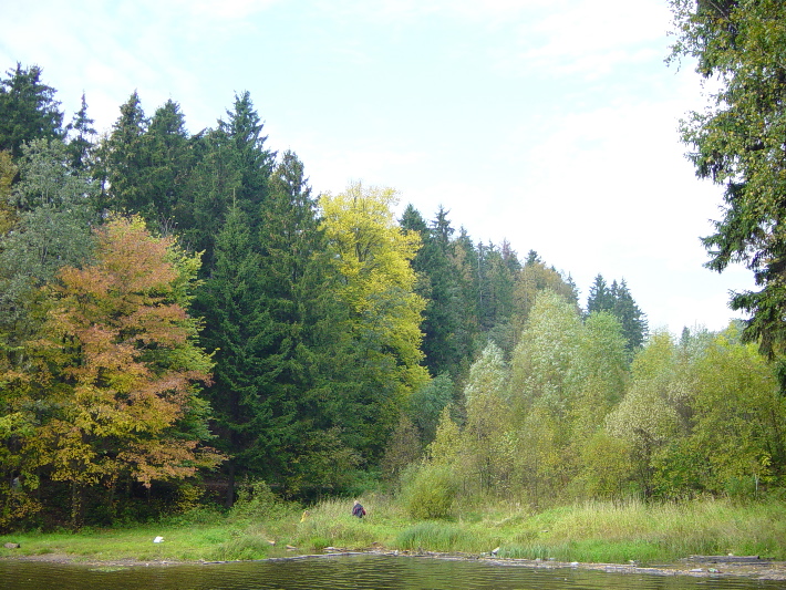 DSC00991