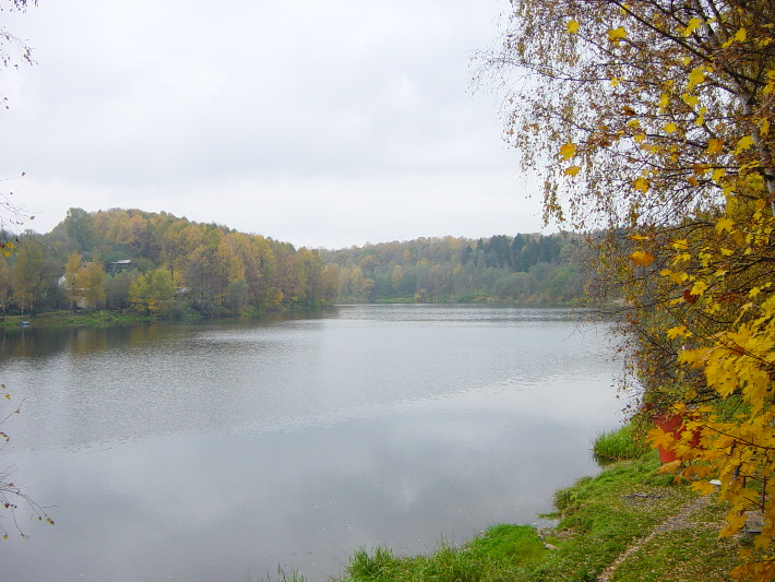 DSC01006
