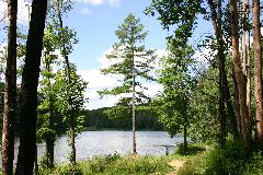 IMG_1874.JPG
