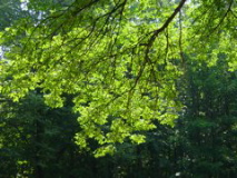 Roll 22 - 11