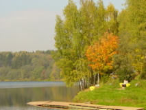 DSC00980