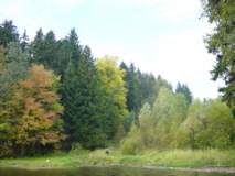 DSC00991