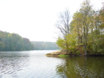 DSC00993
