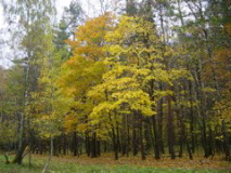 DSC01041