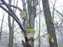 DSC01082.JPG