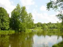 DSC01954