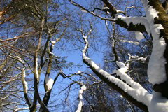 IMG_1607.JPG