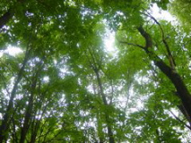 Roll 20 - 18