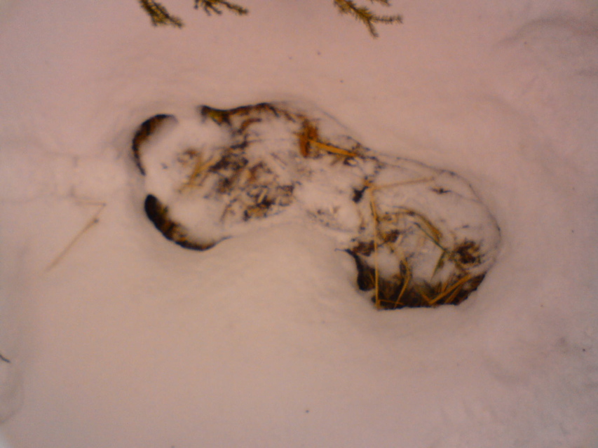 DSC00073