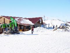 DSC01491