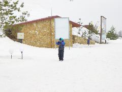 DSC01533